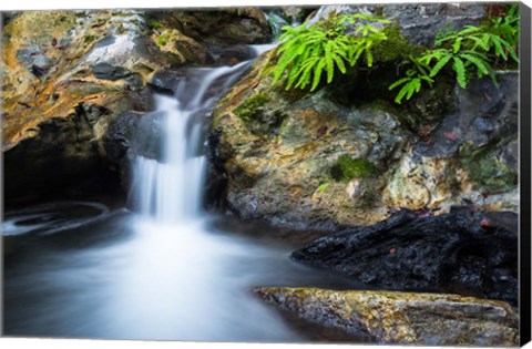 Framed Cascade On Limekiln Creek Print