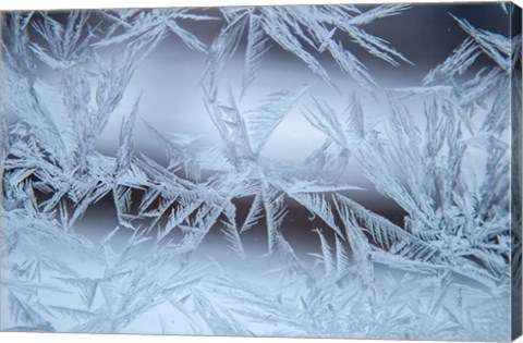 Framed Frost On A Window Print