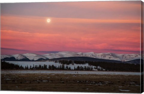 Framed Full Moon And Alpenglow Above Mosquito Range Print