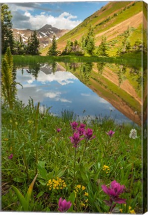 Framed Paradise Divide Pond Reflection Print