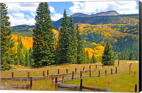 Framed Autumn Colors In The San Juan Mountains, Colorado Print