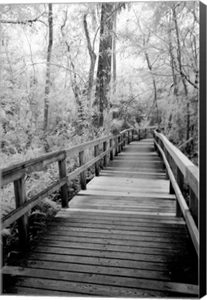 Framed Big Bend Board Walk, Florida (BW) Print