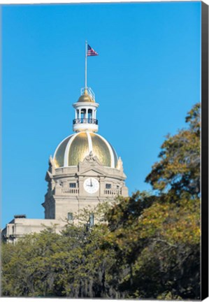 Framed City Hall, Savannah, Georgia Print