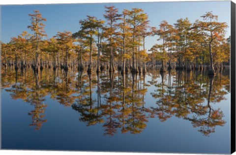 Framed Pond Cyprus In Early Morning Light, Georgia Print