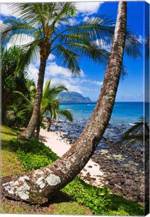 Framed Hideaways Beach, Island Of Kauai, Hawaii Print