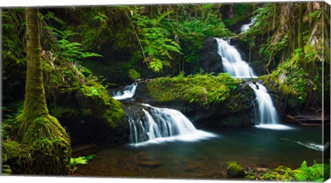 Framed Onomea Waterfalls At The Hawaii Tropical Botanical Garden Print