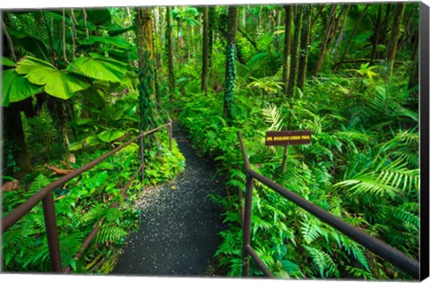 Framed Boulder Creek Trail, Hawaii Print