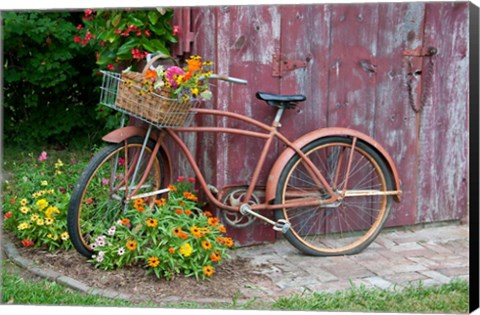 Framed Old Bicycle With Flower Basket, Marion County, Illinois Print