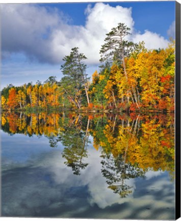 Framed Autumn Scene Of Upper Togue Pond, Maine Print