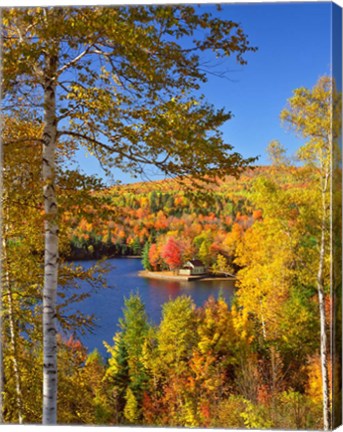 Framed Wyman Lake In Autumn, Maine Print