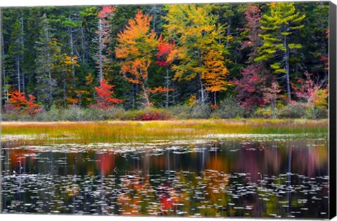 Framed Somes Pond In Autumn, Somesville, Maine Print