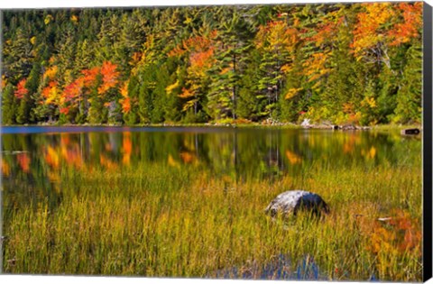 Framed Autumn Reflections In Bubble Pond, Acadia National Park, Maine Print