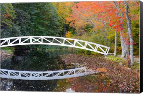 Framed White Footbridge In Autumn, Somesville, Maine Print