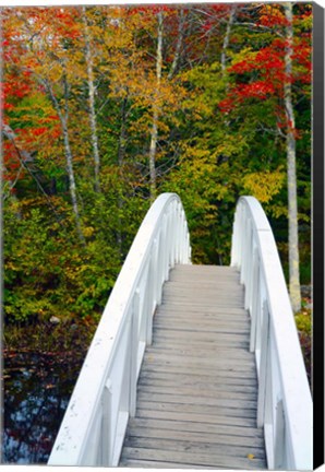 Framed White Footbridge Path, Maine Print