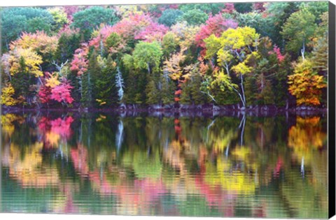 Framed Great Long Pond Reflection,  Maine Print