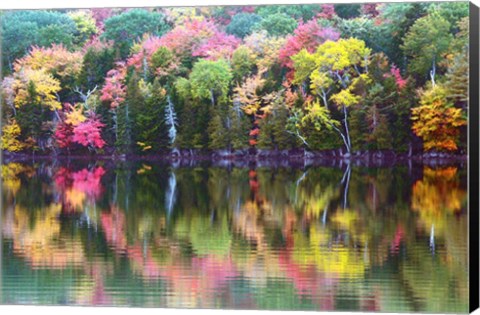 Framed Great Long Pond Reflection,  Maine Print