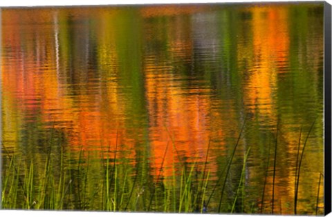 Framed Bubble Pond, Acadia National Park, Maine Print