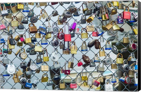 Framed Love Locks On A Fence, Portland, Maine Print