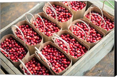 Framed Bagged Cranberries Print