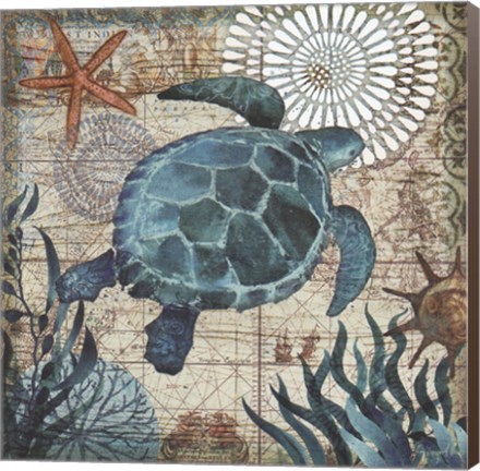 Framed Monterey Bay Turtle Print