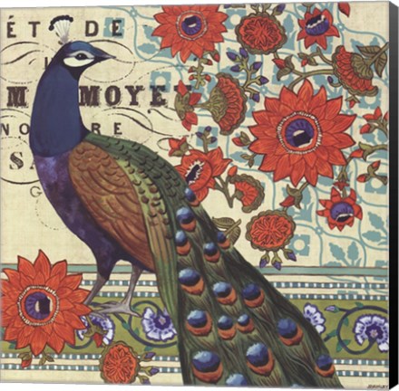 Framed Vintage Peacock II Print