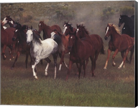 Framed Wild Horses Print