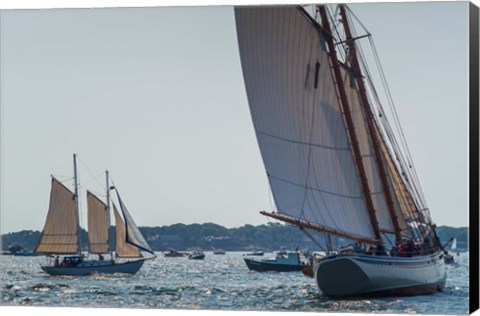 Framed Schooners Sailling, Massachusetts Print