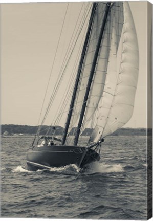 Framed Single Schooner In Cape Ann, Massachusetts (BW) Print