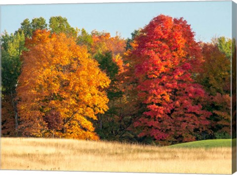 Framed Autumn In The Upper Peninsula Of The Hiawatha National Forest Print