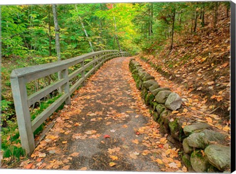 Framed Autumn Trail Leading To Munising Falls Print