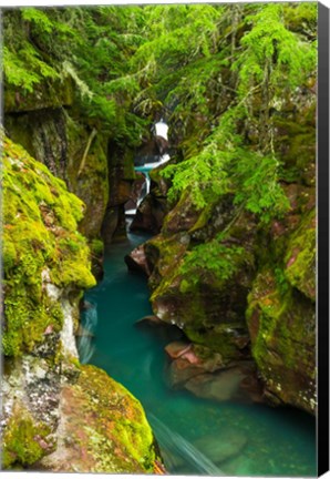 Framed Avalanche Creek, Glacier National Park, Montana Print