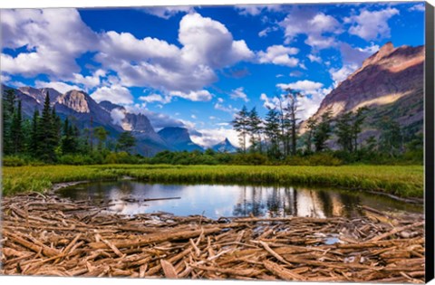 Framed Driftwood And Pond, Saint Mary Lake, Glacier National Park, Montana Print