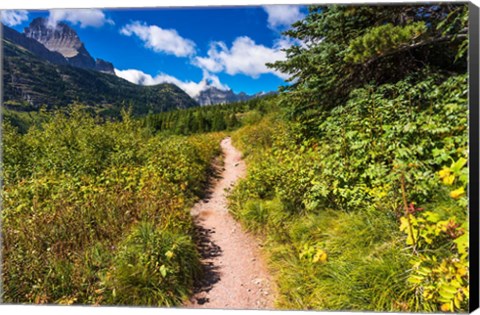 Framed Iceberg Lake Trail, Glacier National Park, Montana Print