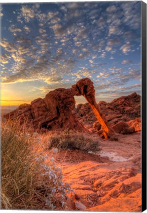 Framed Elephant Rock, Valley Of Fire State Park, Nevada Print