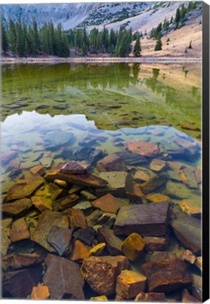 Framed Stella Lake, Great Basin National Park, Nevada Print