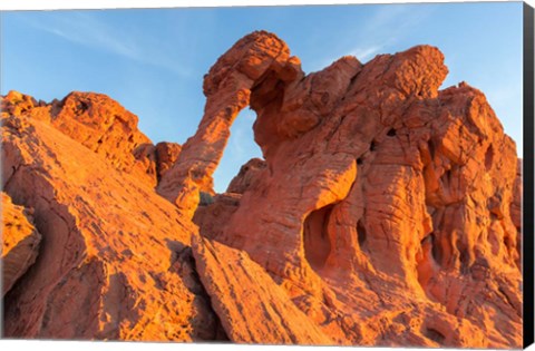 Framed Fire State Park&#39;s Elephant Rock, Nevada Print