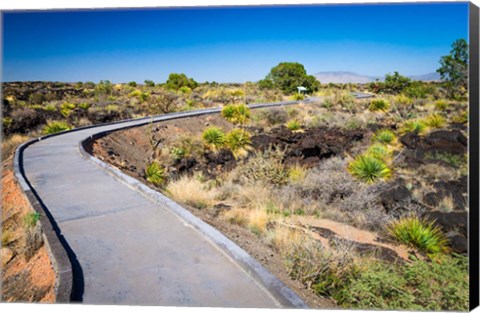 Framed Malpais Nature Trail, New Mexico Print