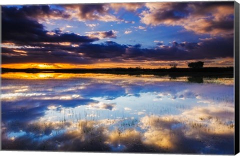 Framed Wetlands At Sunrise, Bosque Del Apache National Wildlife Refuge, New Mexico Print