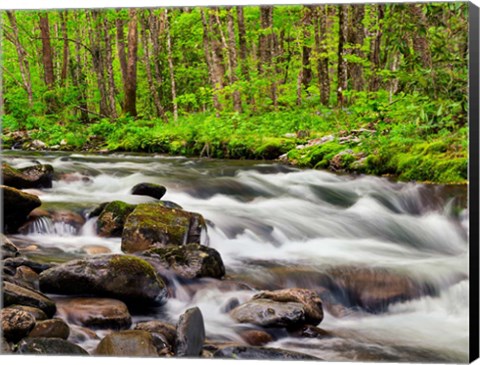 Framed Water Flows At Straight Fork, North Carolina Print