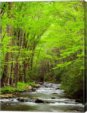 Framed Straight Fork River, North Carolina Print