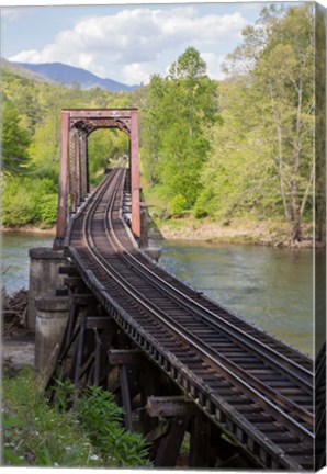 Framed Abandoned Railroad Trestle, North Carolina Print