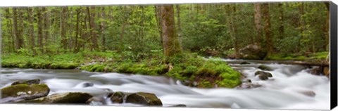 Framed Panoramic Of Straight Fork Creek In Spring, North Carolina Print