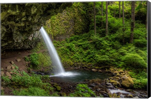 Framed Ponytail Falls, Oregon Print