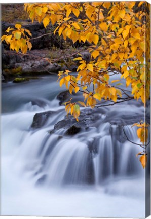 Framed Rogue River Waterfalls In Autumn, Oregon Print