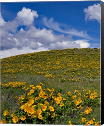 Framed Rowena Plateau Landscape, Oregon Print