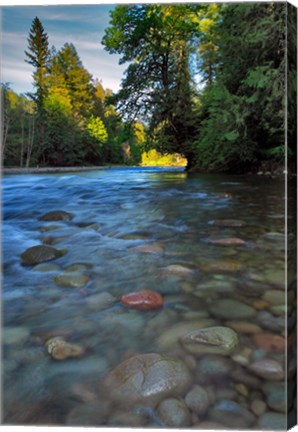 Framed Sandy River Landscape, Oregon Print