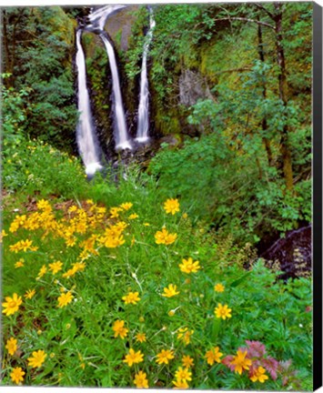 Framed Triple Falls, Oregon Print