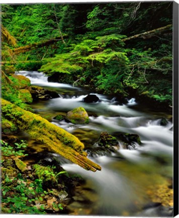 Framed Still Creek, Oregon Print