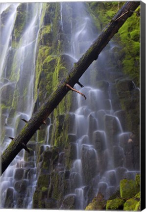 Framed Proxy Falls Over Basalt Columns, Oregon Print
