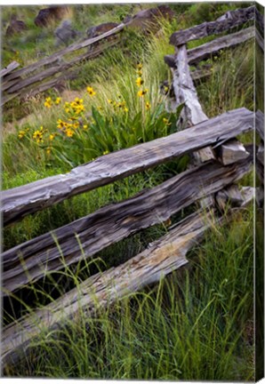 Framed Split Rail Fence In Smith Rock State Park, Oregon Print